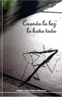 Cuando la luz lo baña todo