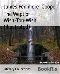 The Wept of Wish-Ton-Wish (Illustrated)