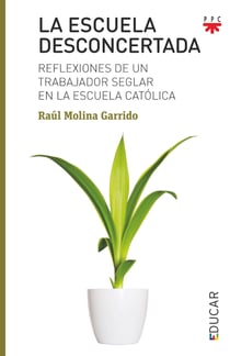 La escuela desconcertada - Reflexiones de un trabajador seglar en la escuela católica