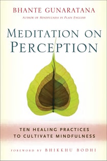 Meditation on Perception - Ten Healing Practices to Cultivate Mindfulness