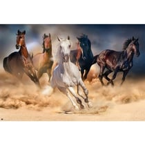 Poster five horses