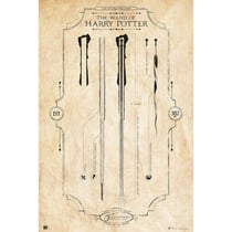 Poster Grupo Erik - Harry Potter la baguette