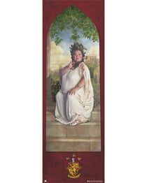 Poster Porte Harry Potter Gryffindor