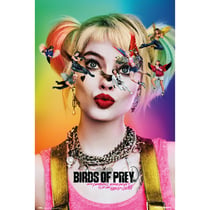 Poster Birds Of Prey Dazed And Confused