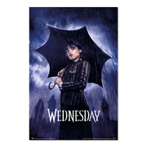 Wensday - Umbrella - 61 x 915 cm