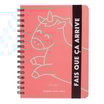 Agenda Scolaire Semainier 2023/2024 - Fais que ça arrive- 15,6 x 2,1 x 22,1 cm - Mr Wonderful - Vert menthe