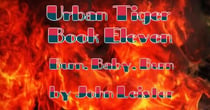 Urban Tiger Book Eleven Burn, Baby, Burn - Urban Tiger, #1