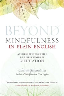 Beyond Mindfulness in Plain English - An Introductory guide to Deeper States of Meditation