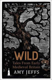 Wild - Tales from Early Medieval Britain from the Bestselling author of Storyland