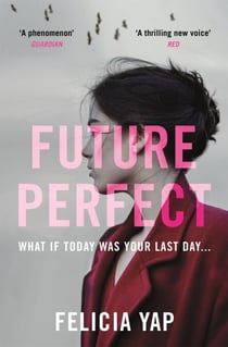 Future Perfect - The Most Exciting High-Concept Novel of the Year