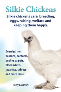 .   Silkie Chickens. Silkie Chickens Care, Breeding,Eggs,Raising, Welfare And Keeping Them Happy.