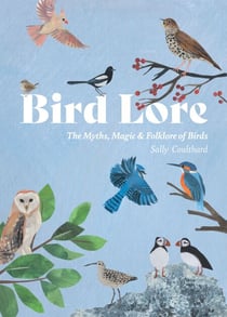 Bird Lore - The Myths, Folklore and Meaning of Birds