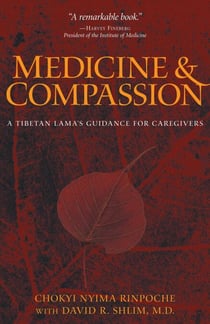 Medicine and Compassion - A Tibetan Lama's Guidance for Caregivers