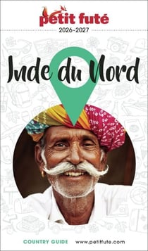 Guide Inde Du Nord 2026/2027 Petit Futé