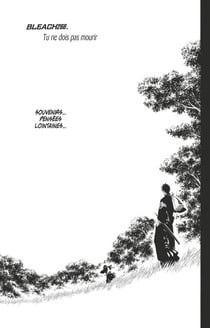 Bleach - T30 - Chapitre 268 - Tu ne dois pas mourir