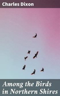 Among the Birds in Northern Shires
