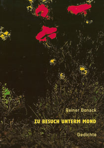 Zu Besuch unterm Mond - Gedichte