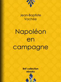 Napoléon en campagne