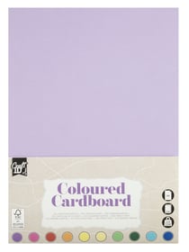 Lot de 10 feuilles unies Craft Id - Multicolore - A4 21 x 29,7 cm - 220 g/m²