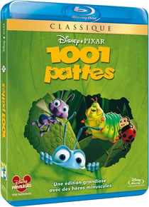 1001 pattes