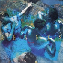 Loved - édition;limitée;colorée