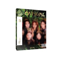 Carnival - Bvndit