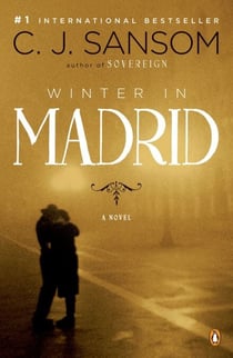 Winter in Madrid - A Novel