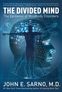 The Divided Mind - The Epidemic of Mindbody Disorders