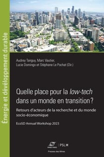 Quelle place pour la low-tech dans un monde en transition ? - Retours d'acteurs de la recherche et du monde socio-économique