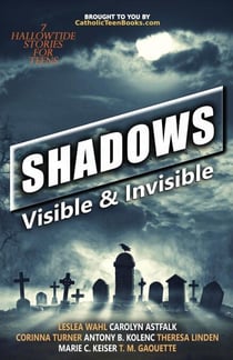 Shadows: Visible & Invisible - Visible & Invisible Series, #5