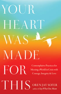 Your Heart Was Made for This - Contemplative Practices for Meeting a World in Crisis with Courage, Integrity, and Love