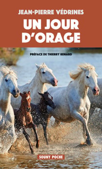 Un Jour d'orage - Roman