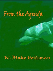 From the Agenda