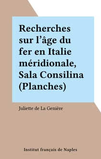 Recherches sur l'âge du fer en Italie méridionale, Sala Consilina (Planches)