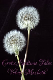 Erotic Bedtime Tales