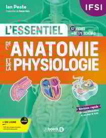 IFSI - L'essentiel de l’anatomie et de la physiologie humaines en fiches - 57 fiches - Plus de 170 illustrations
