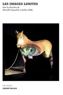 Les images limites
