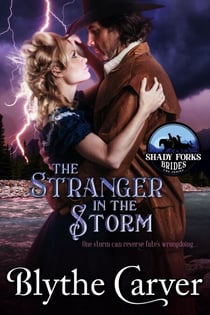 The Stranger in the Storm - Shady Forks Brides, #4