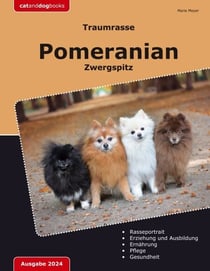 Traumrasse Pomeranian - Zwergspitz