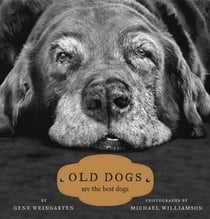 Old Dogs - Are the Best Dogs