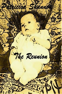 The Reunion - Danny McPherson, #3