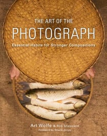 The Art of the Photograph - Essential Habits for Stronger Compositions