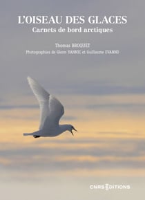 L'oiseau des glaces - Carnets de bord arctiques