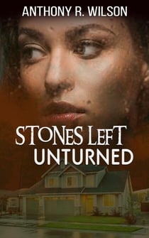 Stones Left Unturned - The Silhouette in the Dark City