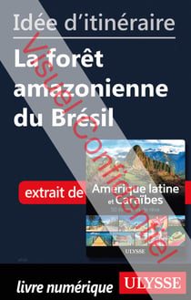 Id?e d'itin?raire - La for?t amazonienne du Br?sil