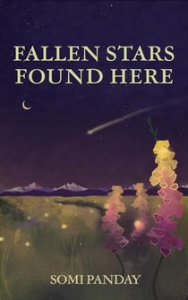 Fallen Stars Found Here