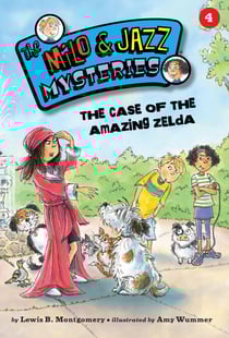 The Case of the Amazing Zelda