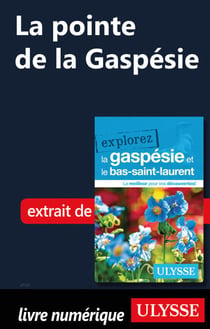 La pointe de la Gaspésie