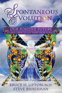 Spontaneous Evolution - Our Positive Future and a Way to Get There From Here
