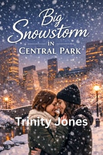 Big Snowstorm in Central Park - Love in the Big Apple, #29